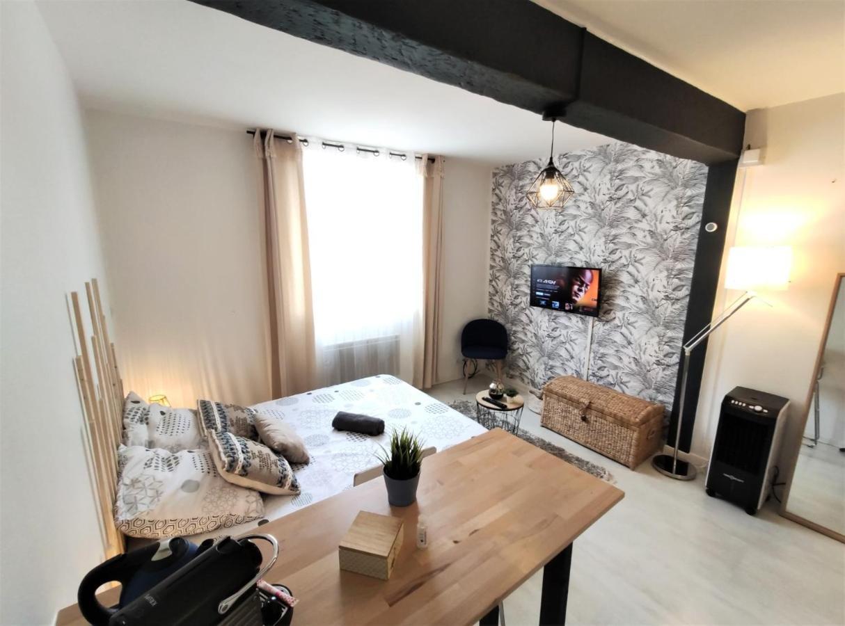 Le Jasmin Des Carmes - Hypercentre - Netflix Apartment Toulouse Luaran gambar